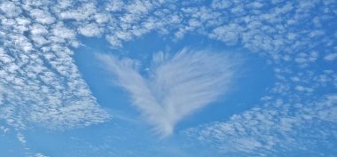 Houston, TX üzerinde kalp şeklinde sirokümülüs bulut deseni. Fallstreak Deliği veya Delik Yumruk Bulutu bu oluşumların yaygın isimleridir ve bazıları uçaklardan kaynaklanır..