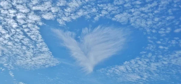 Houston Üzerinde Kalp Şeklinde Sirokümülüs Bulut Deseni Fallstreak Deliği Veya — Stok fotoğraf