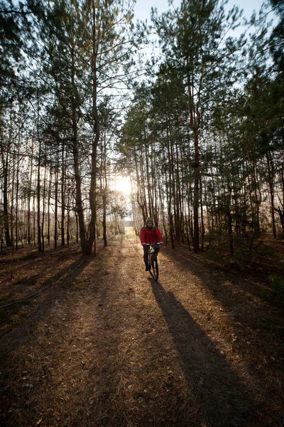 El hombre está en bicicleta en el camino del bosque por la noche con la luz del sol —  Fotos de Stock