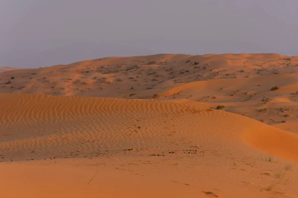 日の出の砂漠は、アラブ首長国連邦のラアス・アル・ハイマのさざ波や丘陵地帯で素晴らしい砂漠の風景を作る大胆な焦げオレンジ色の砂をもたらします. — ストック写真