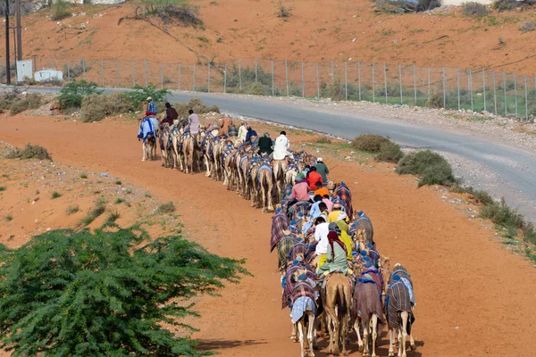 Grupo de camellos en caravana subiendo por la pista de arena lejos de la pista de carreras — Foto de Stock