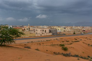 Çöl fırtınası bulutları koyu turuncu renkli kum ve kum tepelerindeki fırtınadan sonra yeşil flora ve faunayı vurguluyordu.