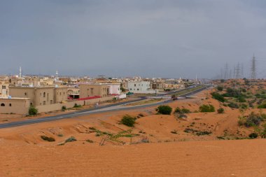 Çöl fırtınası bulutları koyu turuncu renkli kum ve kum tepelerindeki fırtınadan sonra yeşil flora ve faunayı vurguluyordu.