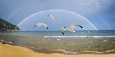 İllüstrasyon - buğday alanları