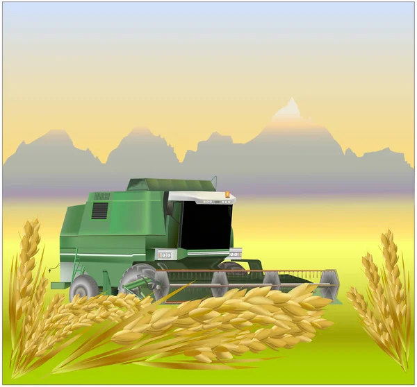 Ілюстрація - Пшеничні поля — стокове фото