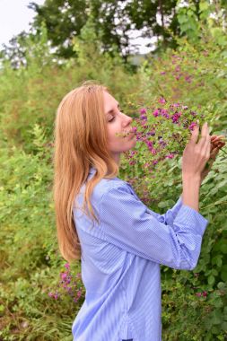 Tatlım koku lespedeza