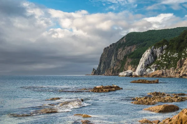 Halkalı mühürler Cape mermer arka planda