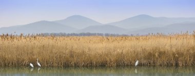 Uzakdoğu'nun göller üzerinde