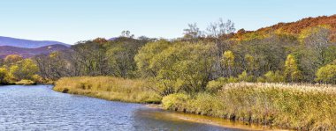 Sonbahar manzarası manzarası. Vahşi bir nehirdeki vahşi bir tarladan manzara