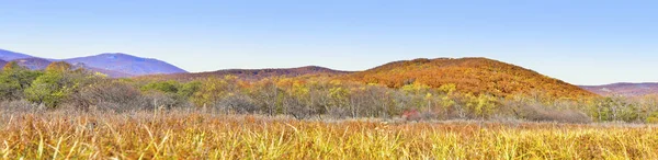 Herfst landschap-panorama. Uitzicht vanaf een wild veld op de sporen o — Stockfoto