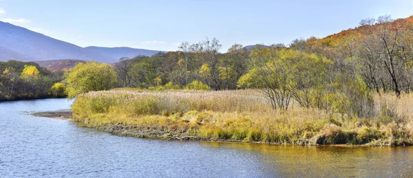 Höstens landskap-panorama. Utsikt från ett vilt fält på en vild flod — Stockfoto