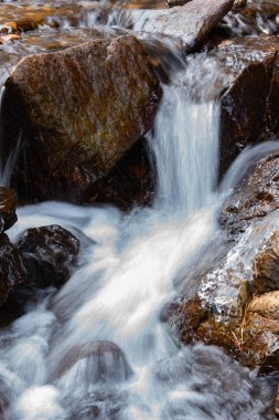 Taiga Deresi 'ndeki küçük bir şelalenin fotoğrafı.