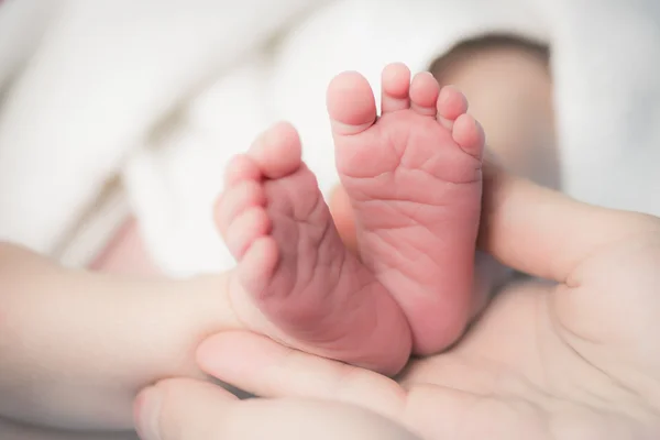 Gente pequeña, pies, mano , — Foto de Stock