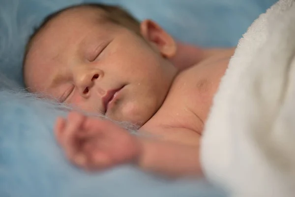 Newborn boy littlest boy on the world — Stock Photo, Image