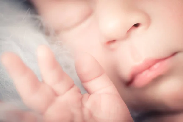 Niño recién nacido niño más pequeño del mundo —  Fotos de Stock