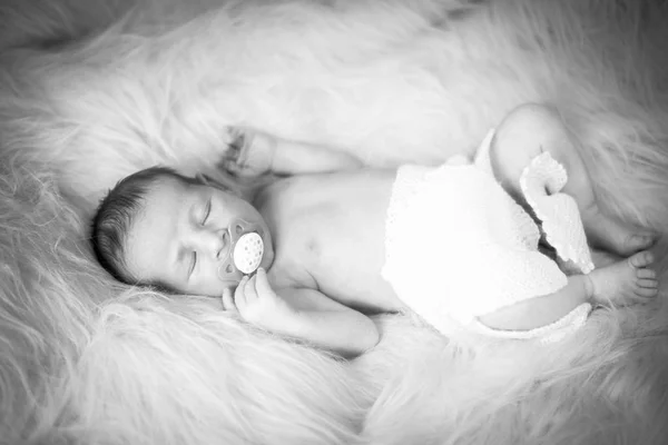 Newborn boy littlest boy on the world — Stock Photo, Image