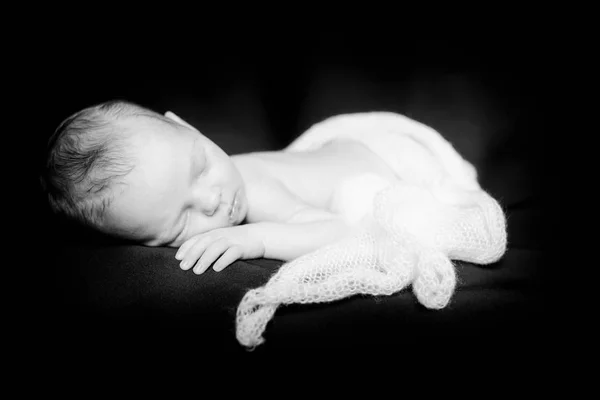 Newborn girl portrait. — Stock Photo, Image