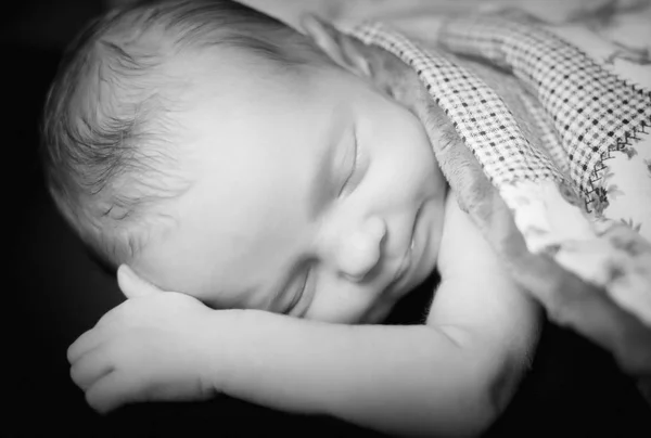 Newborn girl portrait. — Stock Photo, Image