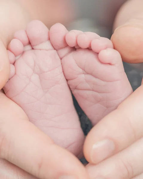 Nyfödd flicka fötter — Stockfoto