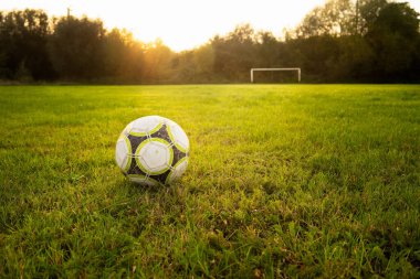 Yaşlı top oyun için bekliyor 