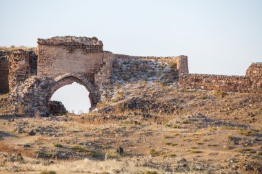 Türkiye'de Ani Harabeleri