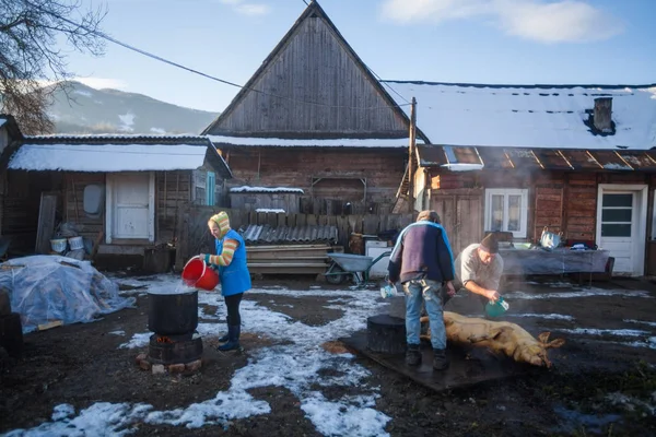 Mannen voorbereiding van een varken — Stockfoto