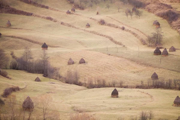 Haystack en Roumanie — Photo