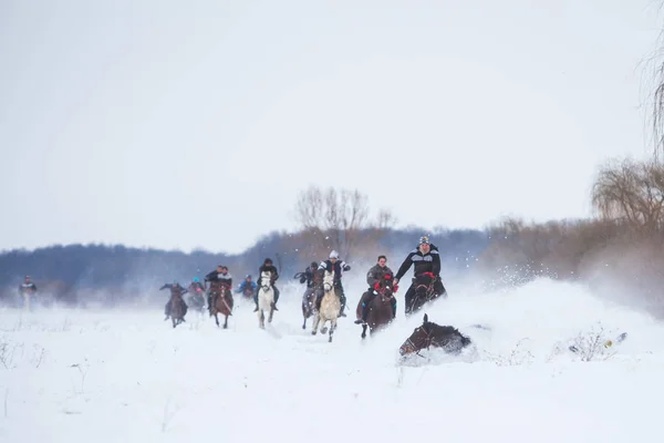 Corrida de cavalos na neve — Fotografia de Stock