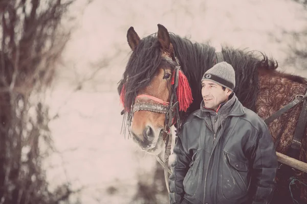 Man stands near his horse — Stock Photo, Image