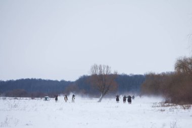 At yarışı kar üzerinde