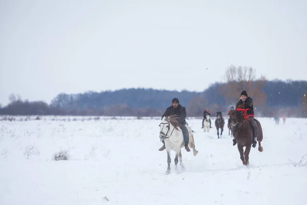 Course de chevaux sur neige — Photo