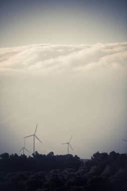 Bir tepe üzerinde rüzgar değirmenleri