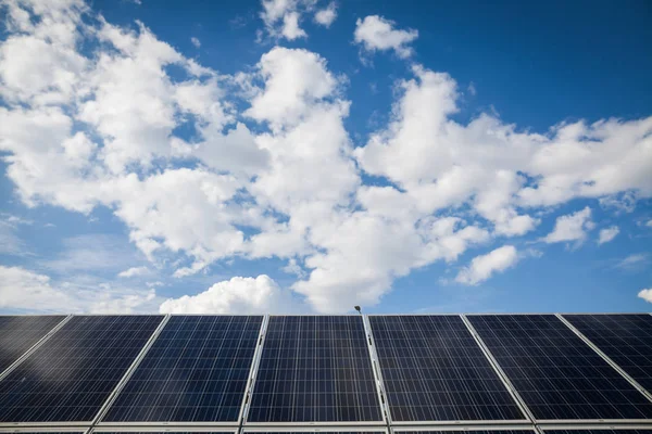 Color image of some solar panels, outdoor.