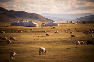 Bir alan üzerinde bazı Moğol yurts renkli görüntü.