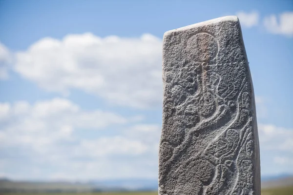 Immagine Colori Una Pietra Cervo Mongolia — Foto Stock