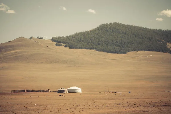 Imagen Color Algunas Yurtas Mongolas Campo Verde — Foto de Stock