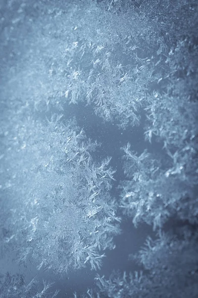 Close Image Some Icy Flowers Frozen Window — Stock Photo, Image