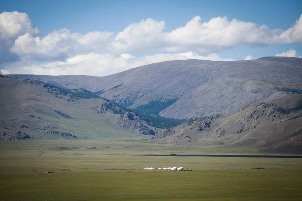 緑のフィールドにいくつかのモンゴルのパオのカラー画像 — ストック写真