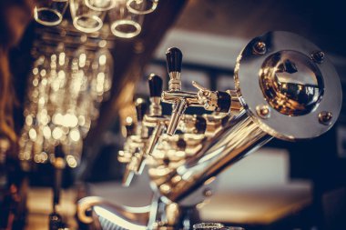 Bir barda bira dispanser