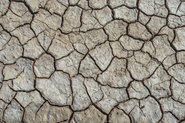 Il terreno incrinato . — Foto Stock