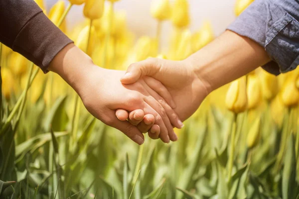 Een afbeelding van een paar bedrijf handen in het park — Stockfoto