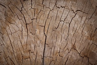 güdük ahşap doku arka plan