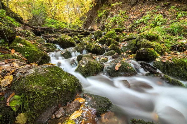 Fotografia de paisagem de yedigoller cai no Parque Nacional yedigoller de Bolu, Turquia . — Fotografia de Stock