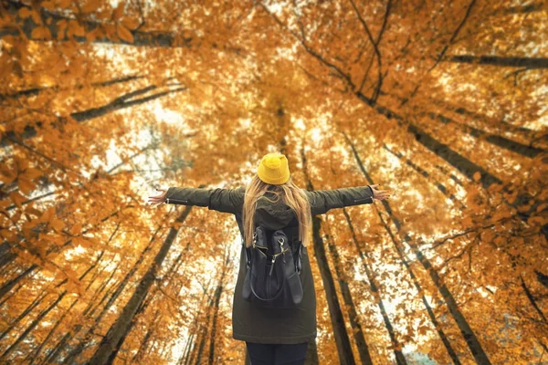 Mujer rubia viajera y árboles de otoño en el bosque — Foto de Stock