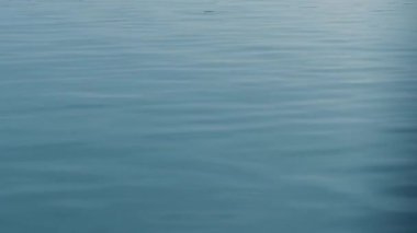 Su yüzeye çıkar. Deniz dalgaları..