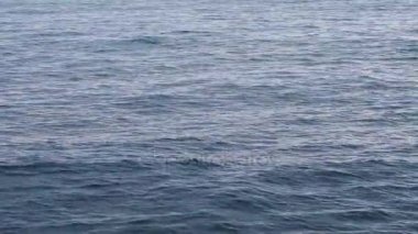 Su yüzeye çıkar. Deniz dalgaları..