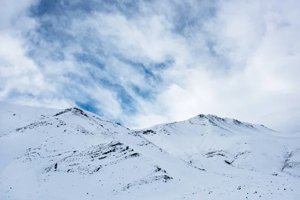 Winterbäume in schneebedeckten Bergen — Stockfoto