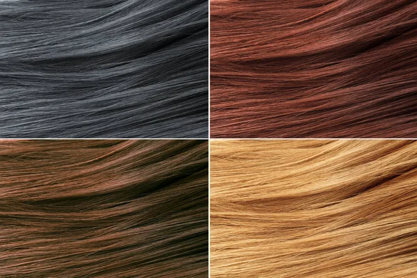 Paleta de cores de cabelo. Fundo de textura de cabelo, conjunto de cores de cabelo. Sugestões. Amostras de cor de cabelo tingido — Fotografia de Stock