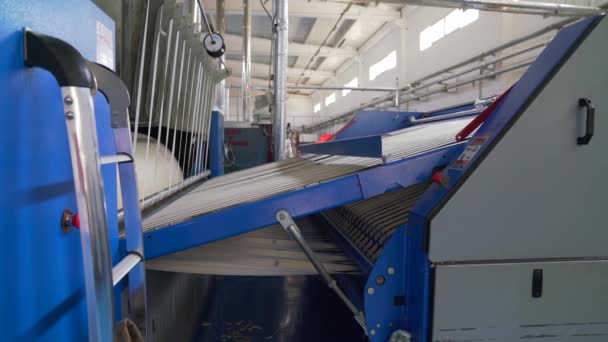 Video einer industriell gewaschenen Wäsche-Bügelmaschine für große Mengen Textilien — Stockvideo