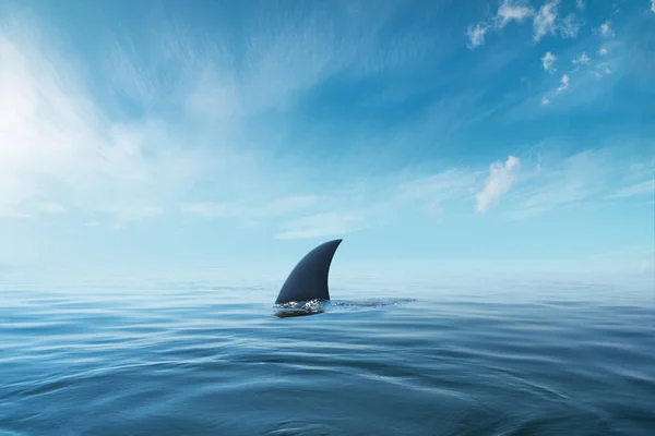 Aleta de tiburón en la superficie del océano agains cielo azul nublado —  Fotos de Stock